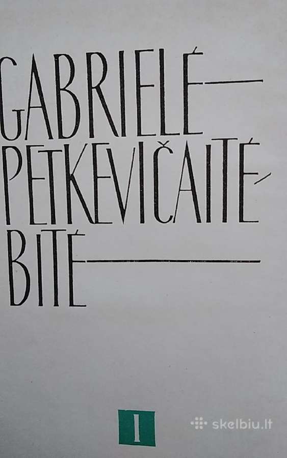 Gabrielė Petkevičaitė Bitė /IT - nuotraukos Nr. 2