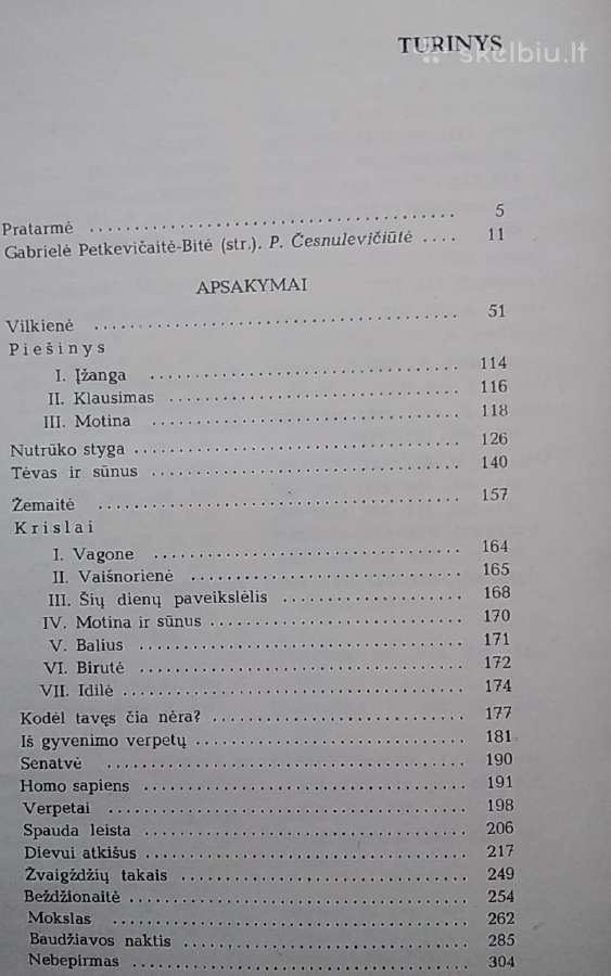 Gabrielė Petkevičaitė Bitė /IT - nuotraukos Nr. 5