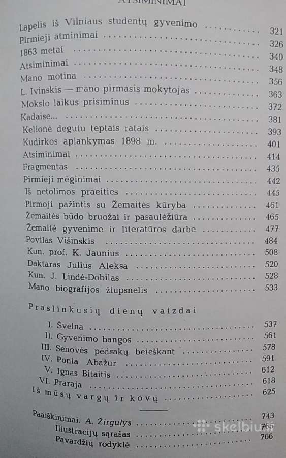 Gabrielė Petkevičaitė Bitė /IT - nuotraukos Nr. 6