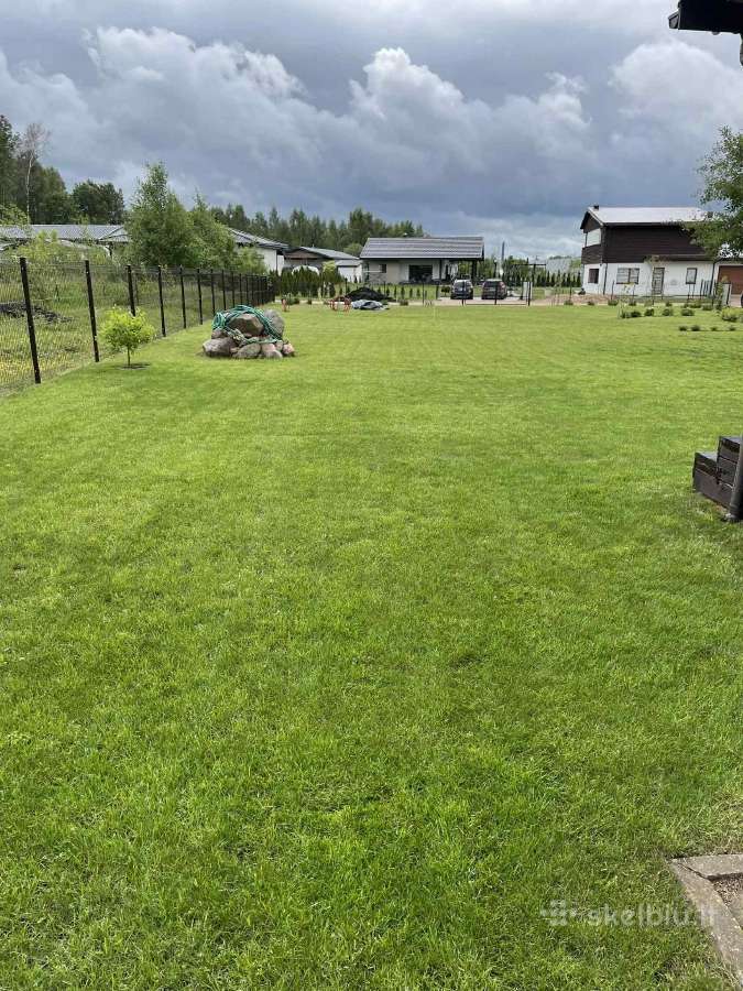 Kalifornijos sliekai. - nuotraukos Nr. 24