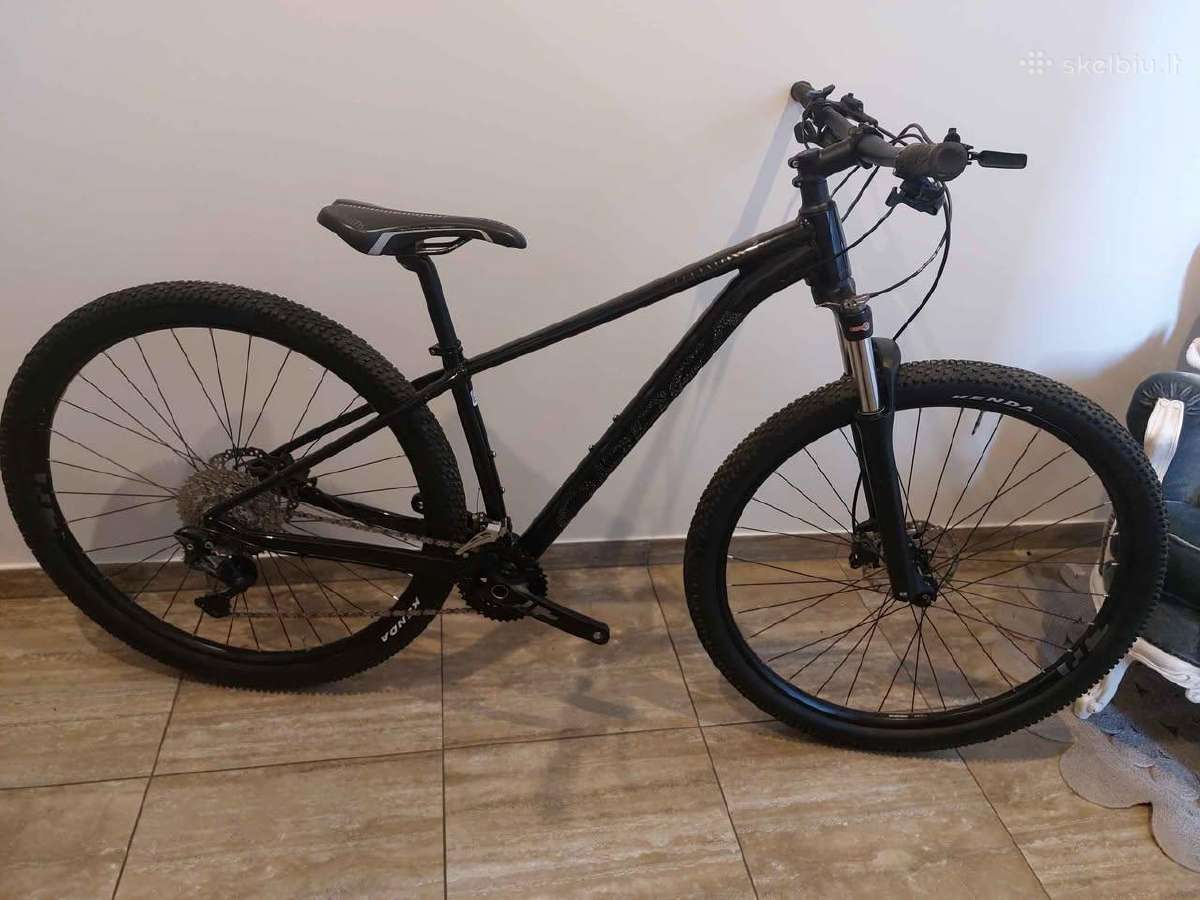 Orbea kalnų dviratis 29"