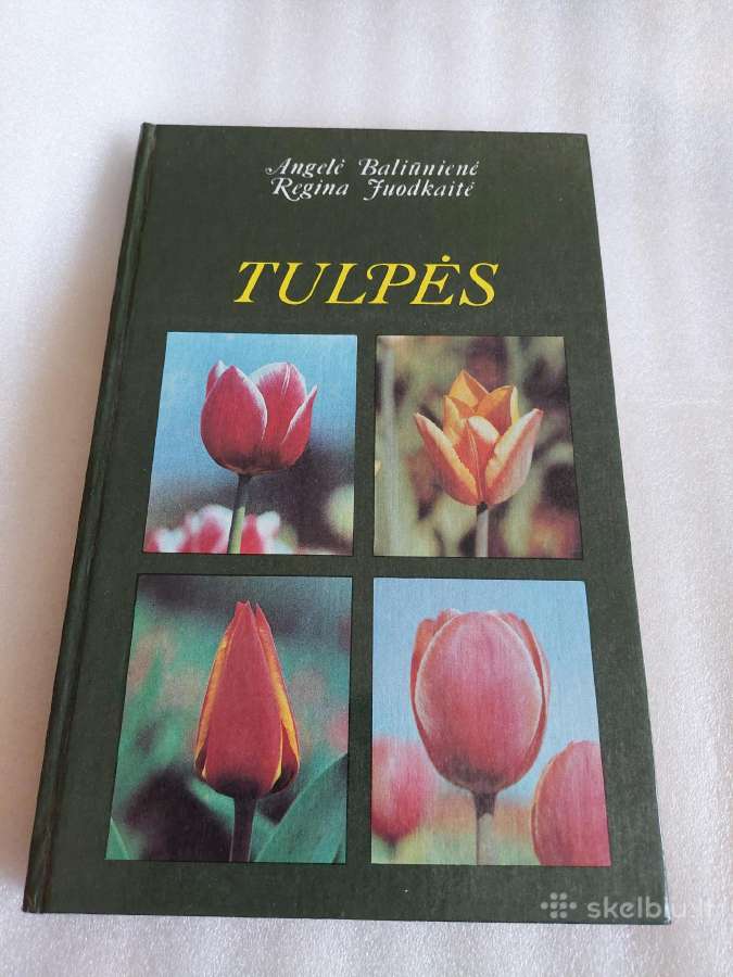 Tulpės