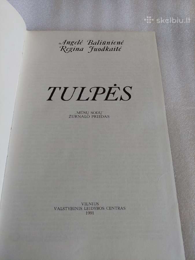 Tulpės - nuotraukos Nr. 2