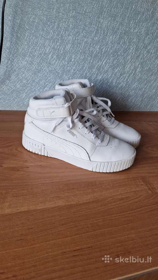 Puma aulinukai