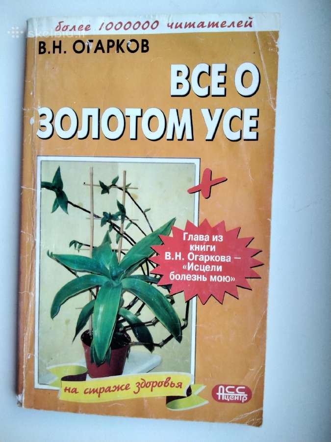 Mūsų organizmo rezervai, Auksinis ūsas, Homeopatij - nuotraukos Nr. 7