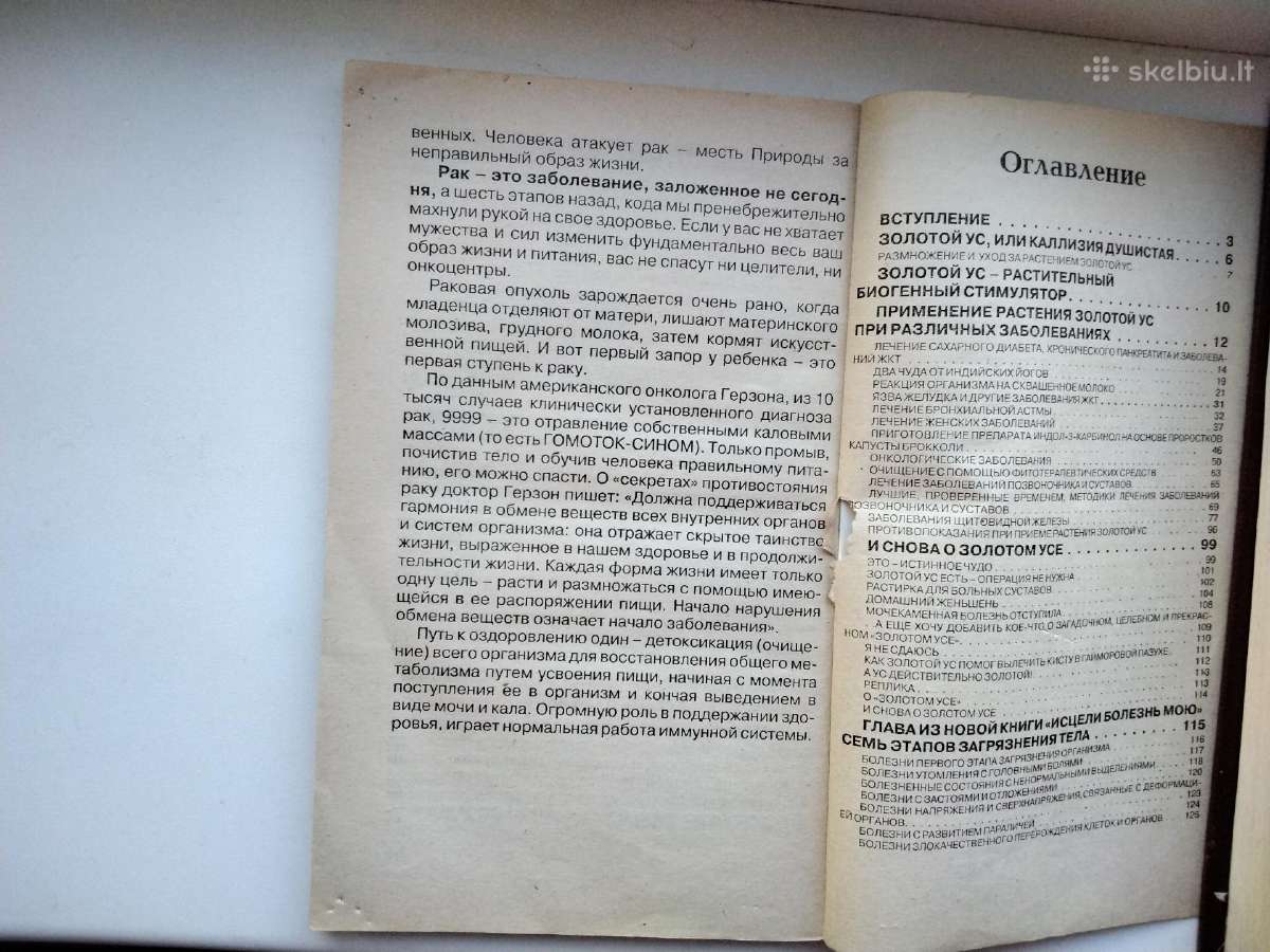Mūsų organizmo rezervai, Auksinis ūsas, Homeopatij - nuotraukos Nr. 11