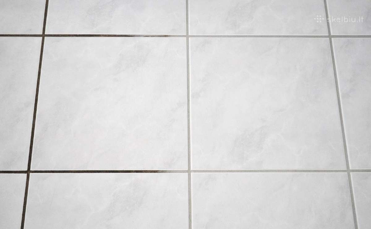 Plaunamo siurblio karcher nuoma Šiauliuose - nuotraukos Nr. 4