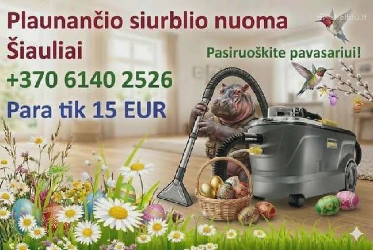 Plaunancio dulkiu siurblio Karcher nuoma Šiauliai
