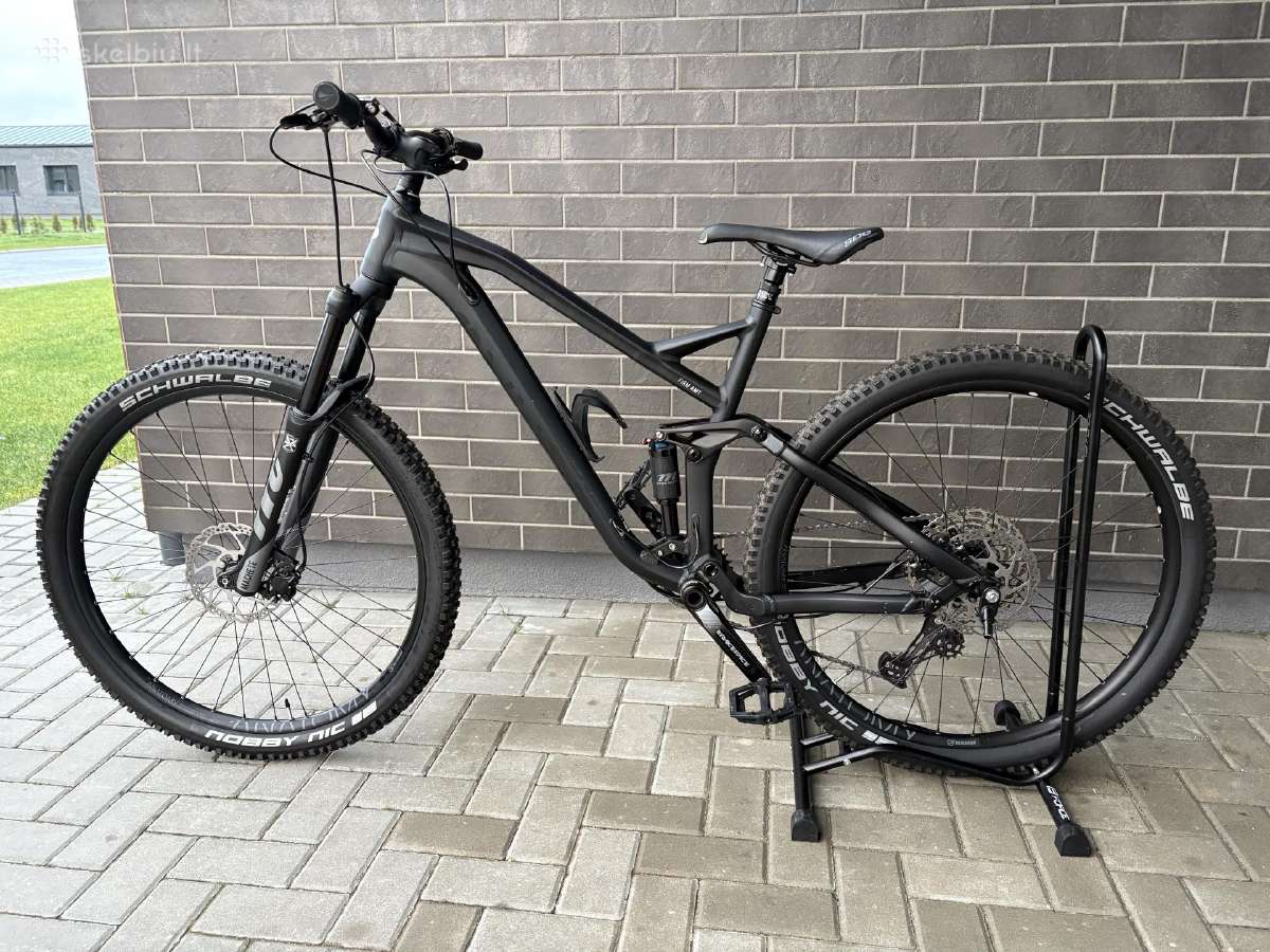 Gekko Firm Amt