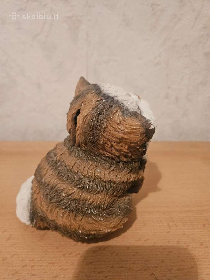 Kaupikle monetoms - nuotraukos Nr. 2