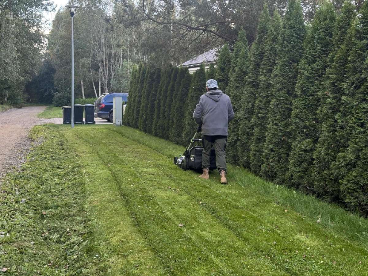 Žolės pjovimas ir aplinkos priežiūra Vilniuje - nuotraukos Nr. 10