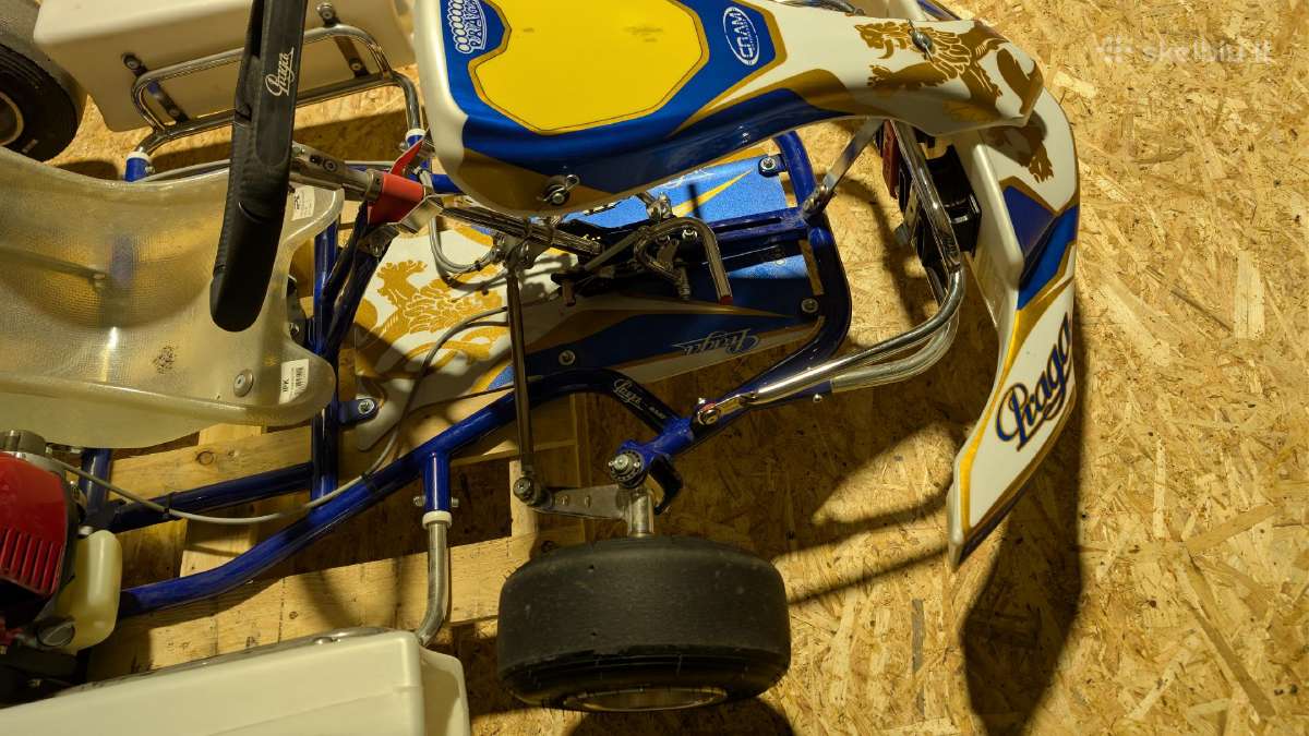 Kartingas Praga Baby su Honda varikliu - nuotraukos Nr. 6