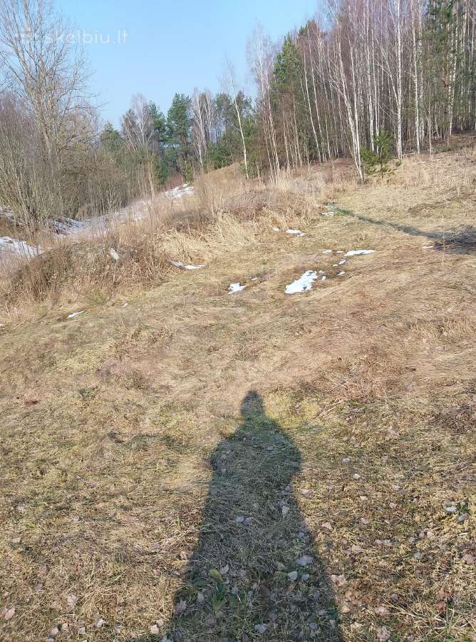 Priimu žemę, žvyrą, smėlį. Birštonas