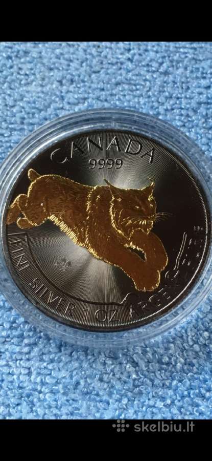 Moneta Canada 2017m. 5 dollars, sidabras(.999)