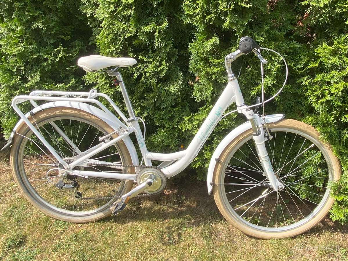 Dviratis Unibike Princess 6 26 2020 white - nuotraukos Nr. 7