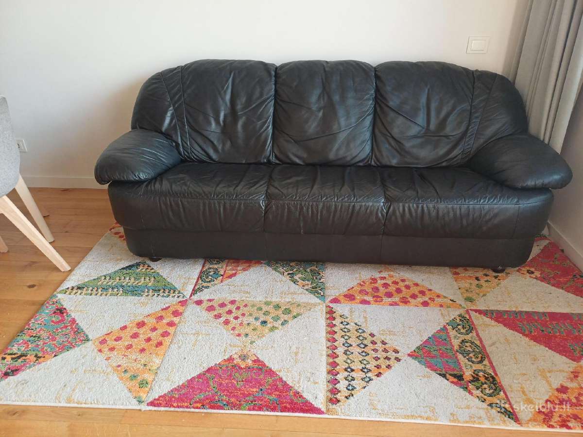 Odinė sofa