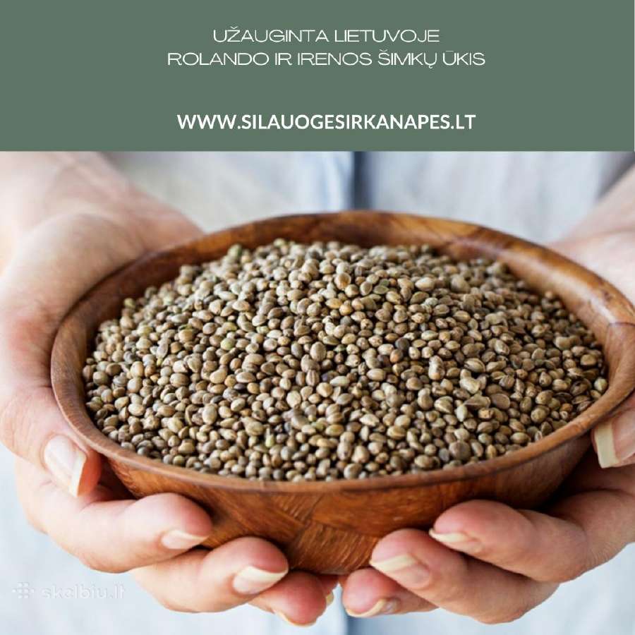 Pluoštinių kanapių sėklos
