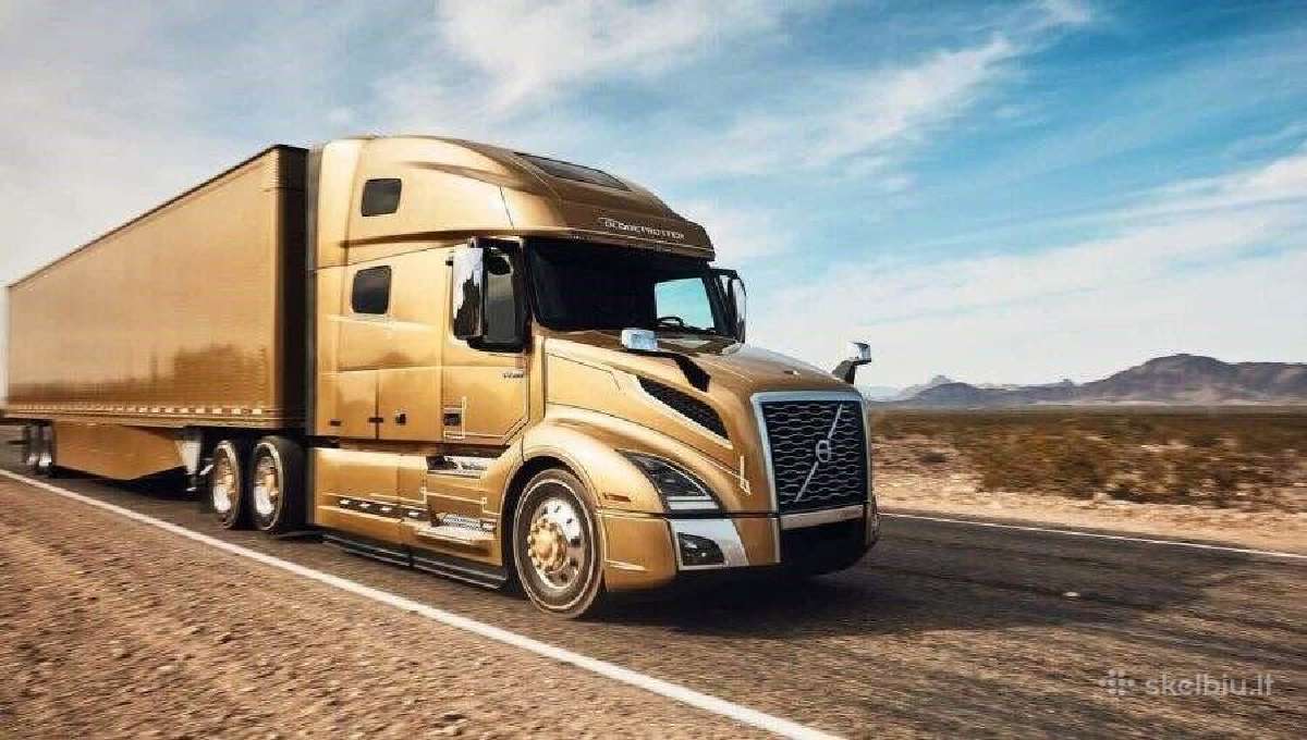 Transporto vadybininkas