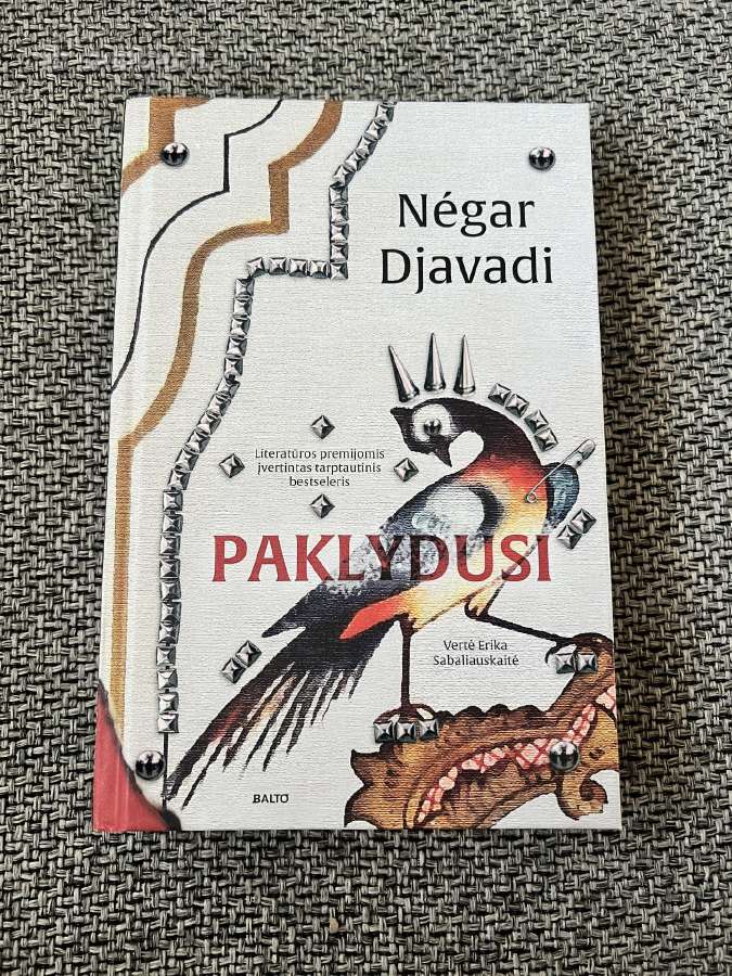 Romanas “paklydusi. (Knyga apie Iraną)