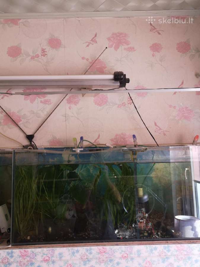 Akvariumas terariumas