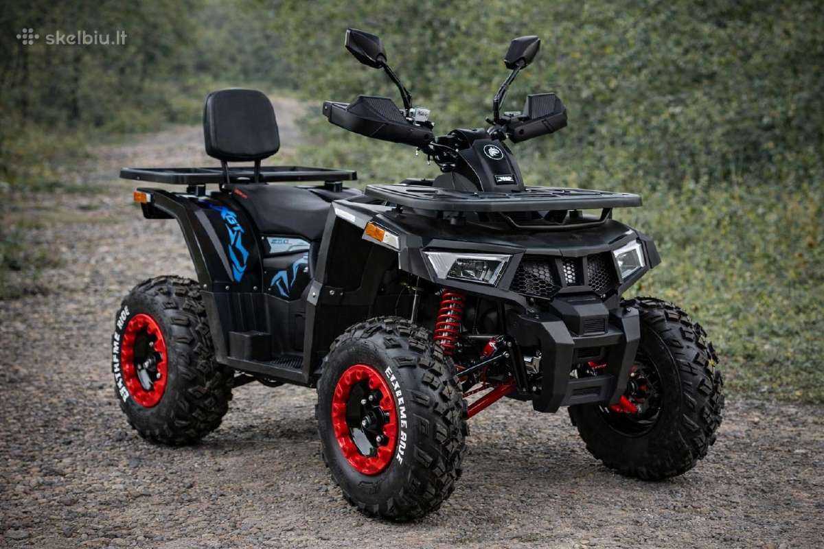 Benzininis keturratis Tao 250 cc su garantija!