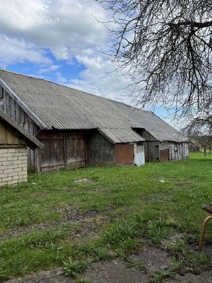 Sodyba Ignalinos r.-rąstinis namas,didelis sklypas - nuotraukos Nr. 13