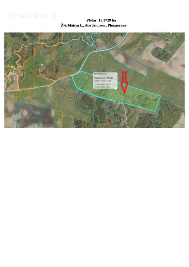 Parduodamas 13,27 ha žemės ūkio paskirties sklypas - nuotraukos Nr. 6