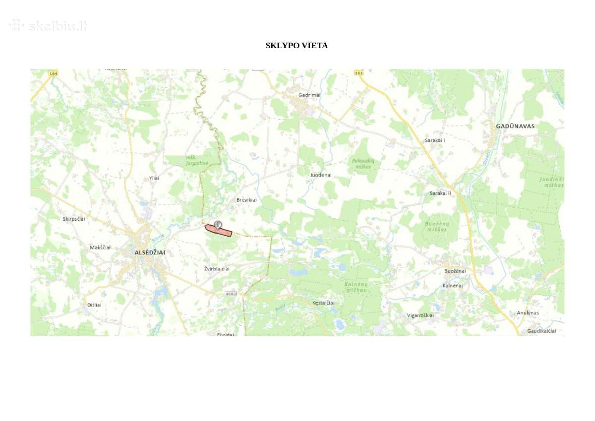 Parduodamas 13,27 ha žemės ūkio paskirties sklypas - nuotraukos Nr. 2