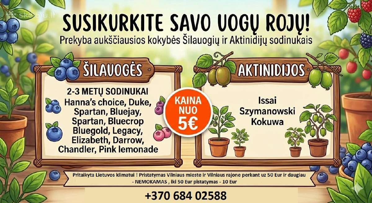 Silauoges ir Aktinidijos