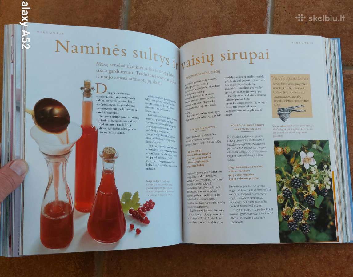 K. Gurney "Laiko patikrintos idėjos ir patarimai" - nuotraukos Nr. 5