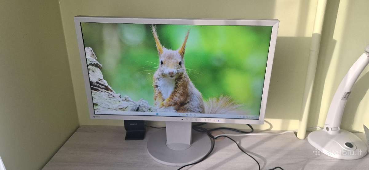 Eizo 24