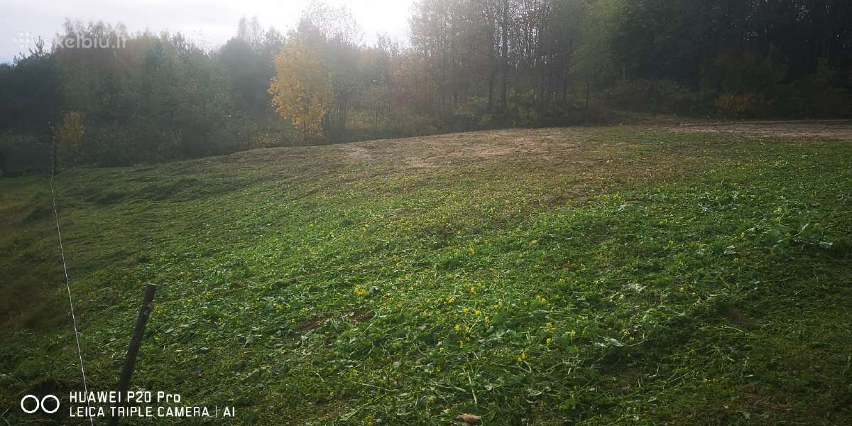 Parduodamas zemes sklypas SB.dobilas. - nuotraukos Nr. 12