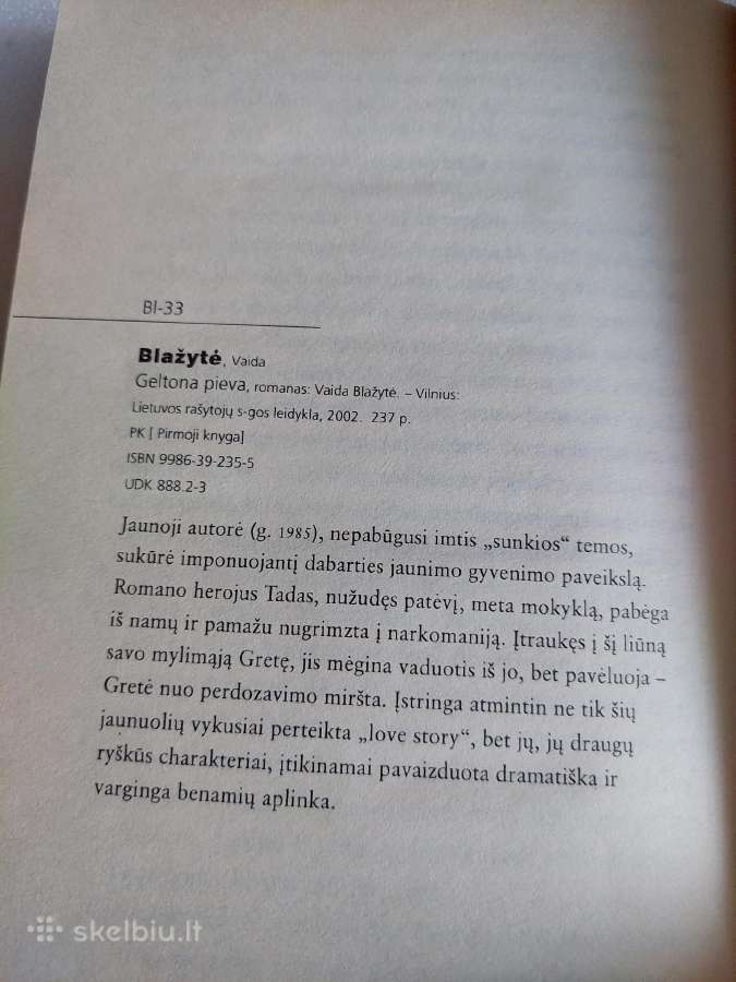 Geltona pieva - nuotraukos Nr. 3