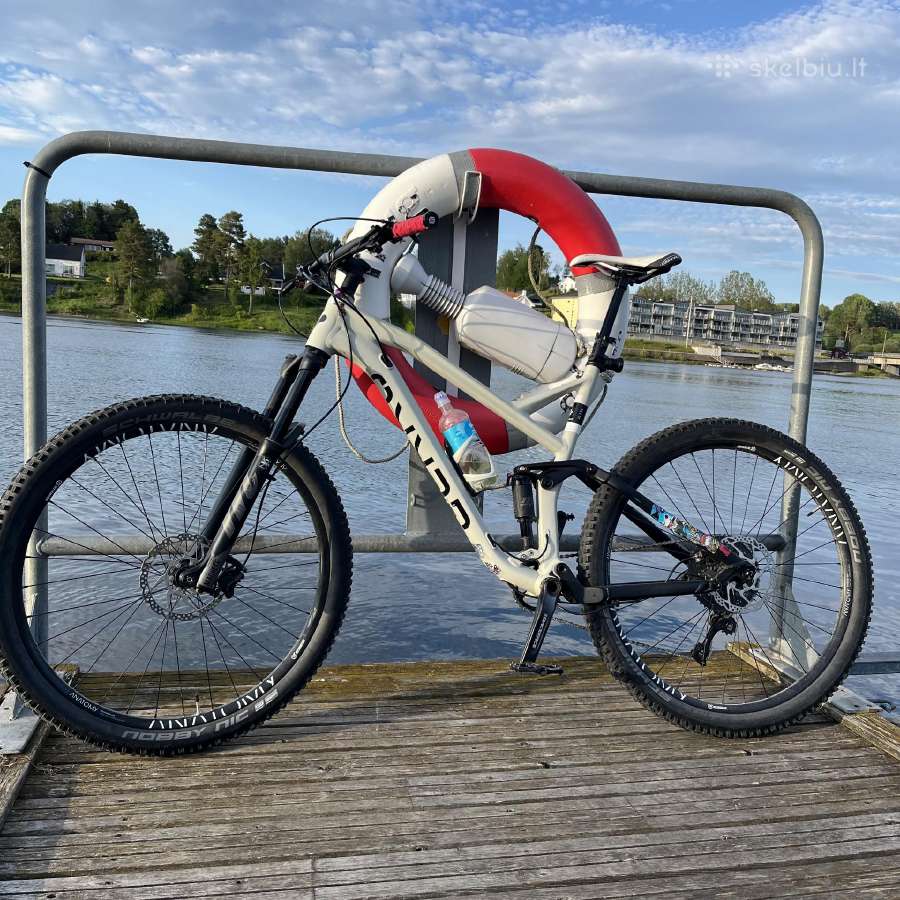 Full suspension Gekko dviratis XXL - nuotraukos Nr. 3