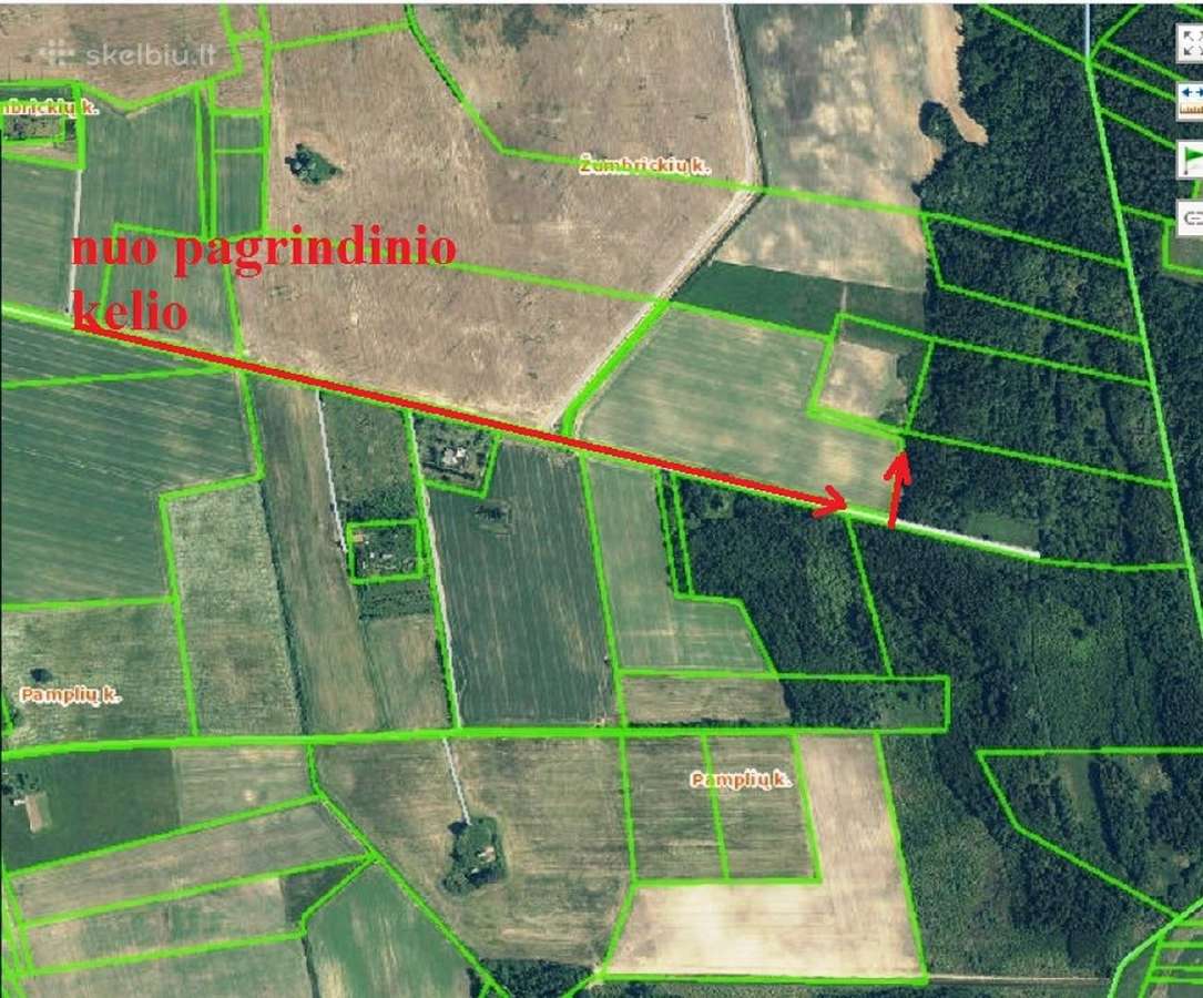 Išnuomoju 2 ha žemės sklypą Žumbrickių k. Panevėži