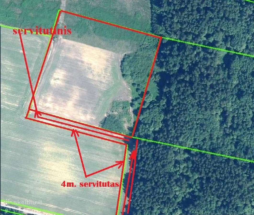 Išnuomoju 2 ha žemės sklypą Žumbrickių k. Panevėži - nuotraukos Nr. 2