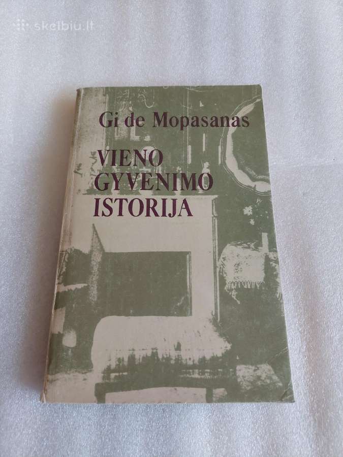 Vieno gyvenimo istorija
