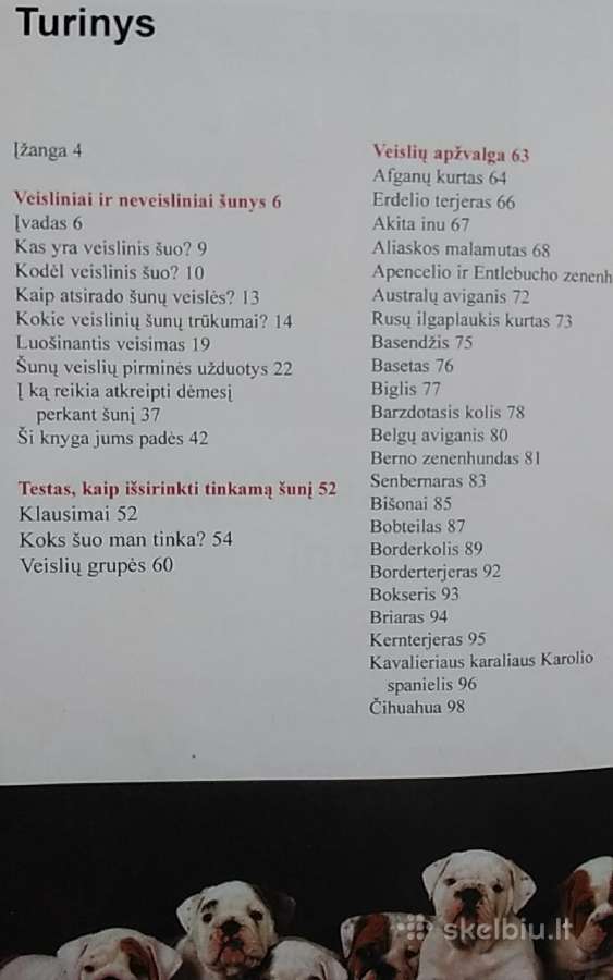 Kaip Išsirinkti Šunį: 100 Šunų Veislių - nuotraukos Nr. 3
