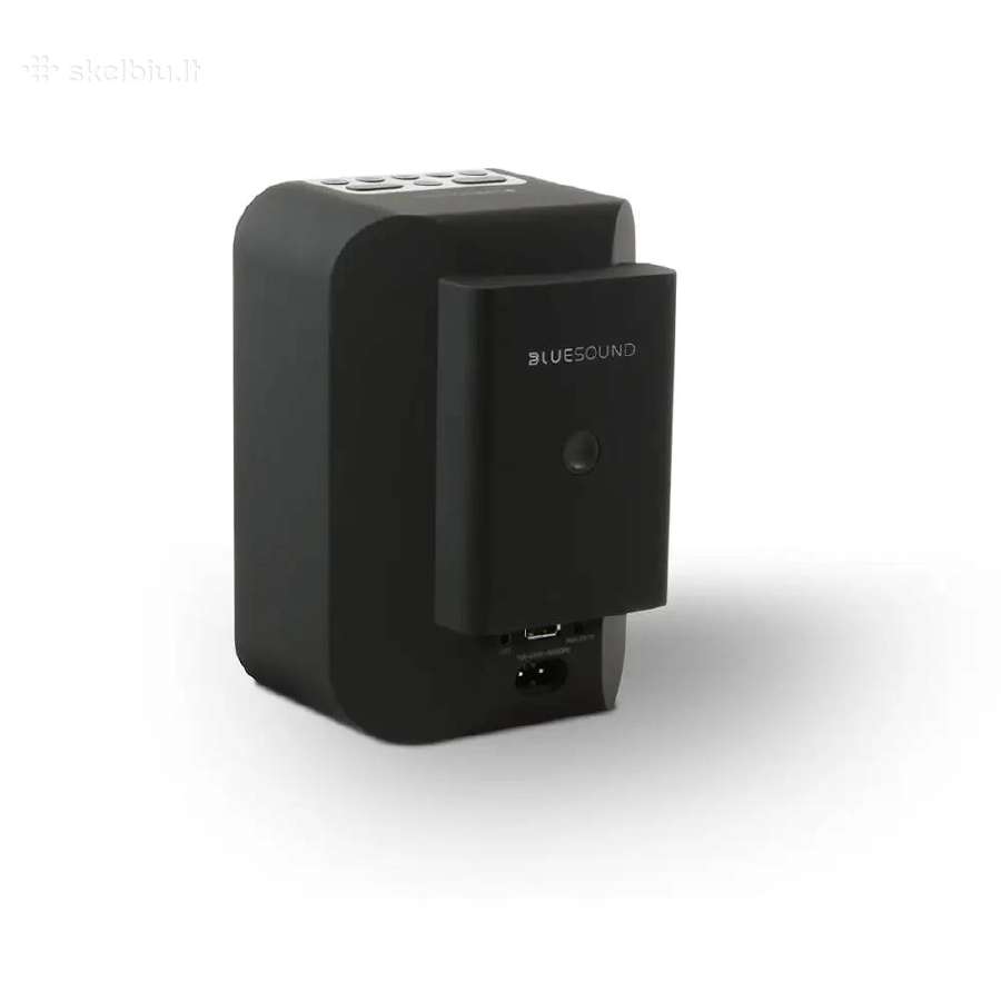Bluesound Bp100 Pulse Flex Battery pack - nuotraukos Nr. 3