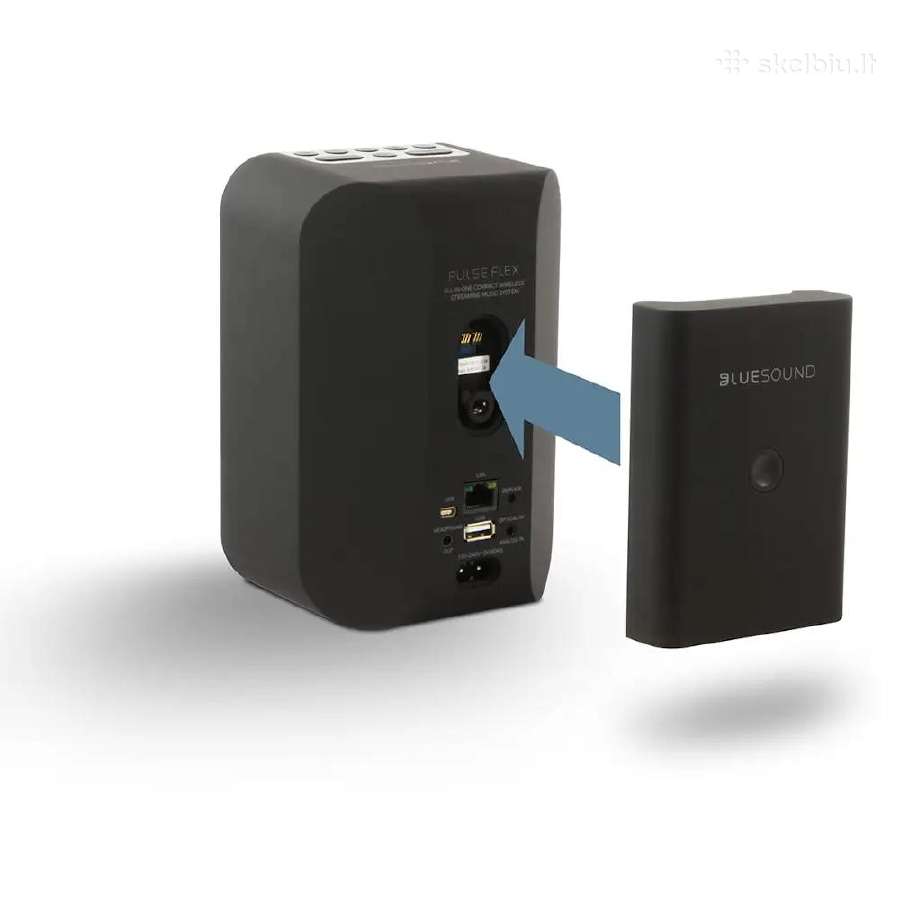Nešiojama Bluesound Bp100 Pulse Flex Battery pack