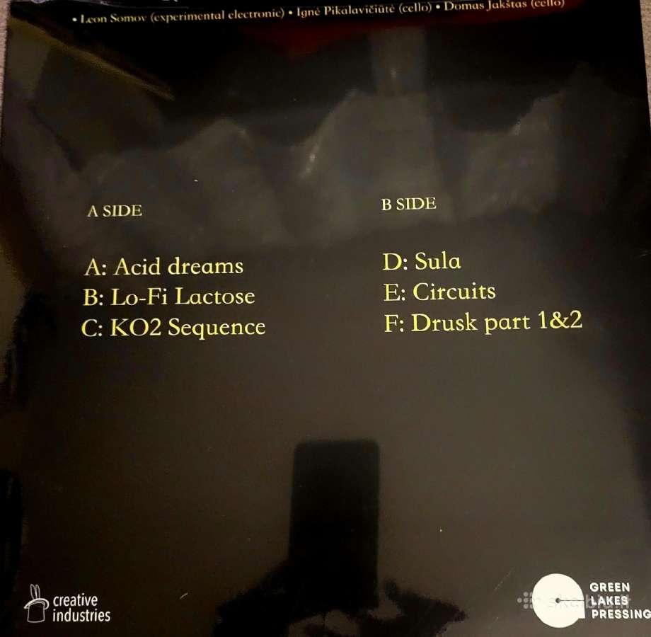 Vinilas - nuotraukos Nr. 2