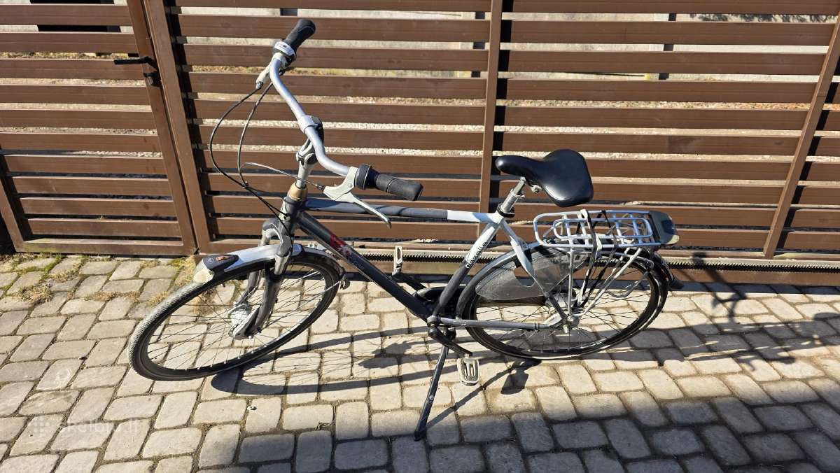 Gazelle eclipse Limited edition - nuotraukos Nr. 2