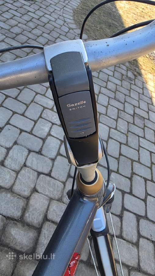 Gazelle eclipse Limited edition - nuotraukos Nr. 3