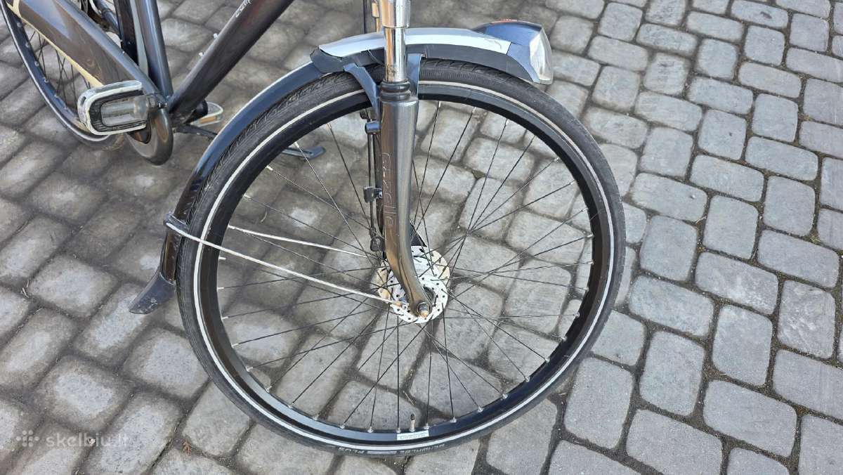 Gazelle eclipse Limited edition - nuotraukos Nr. 6