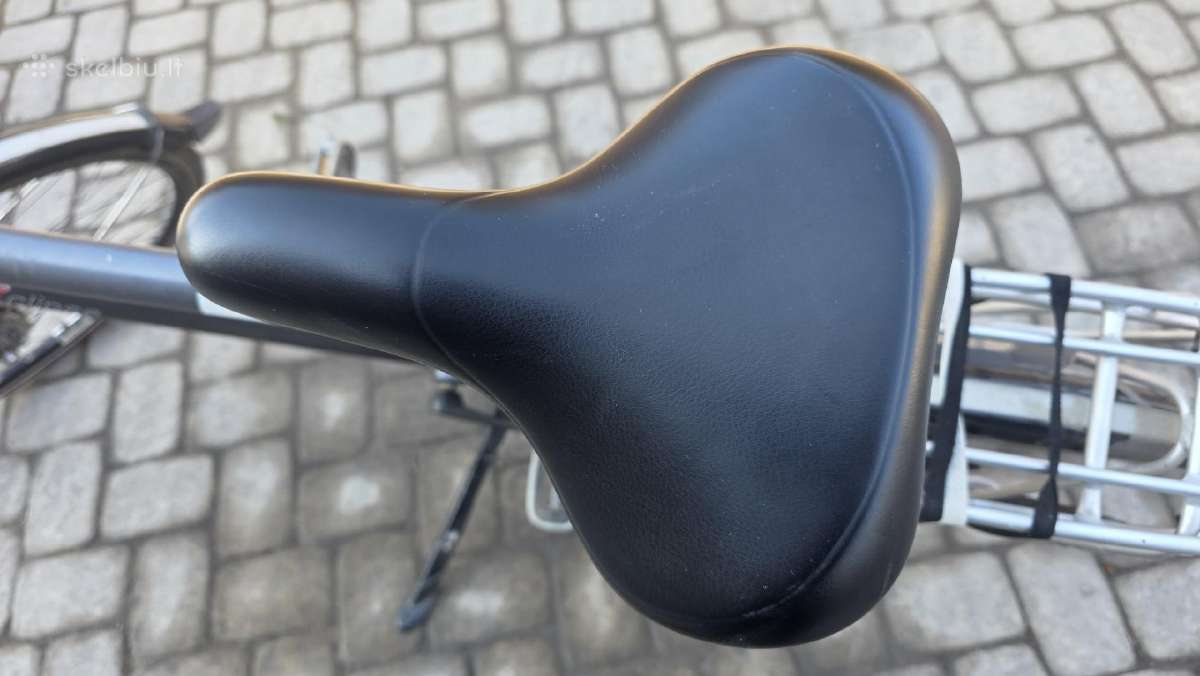 Gazelle eclipse Limited edition - nuotraukos Nr. 9