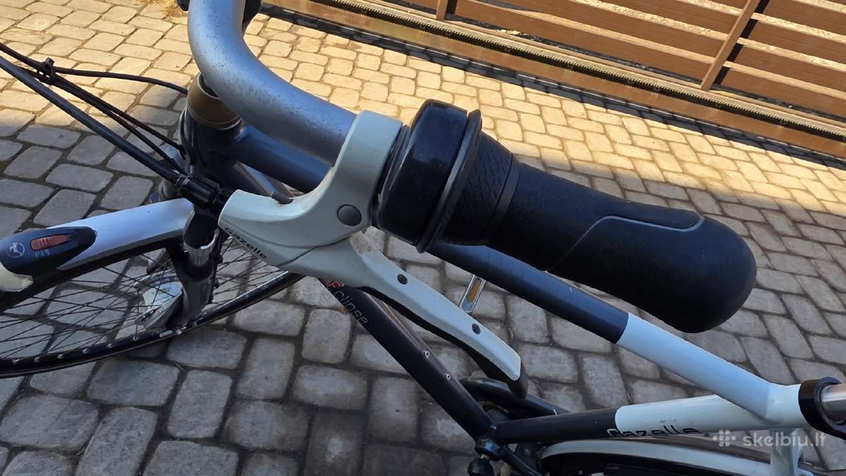 Gazelle eclipse Limited edition - nuotraukos Nr. 10