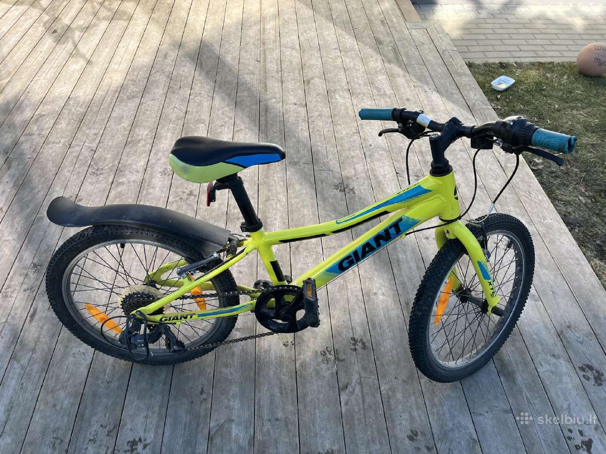 Vaikiškas dviratis Giant XTC