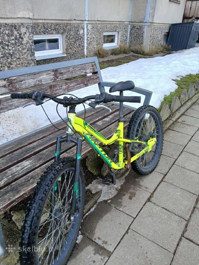 Raptor 4kids