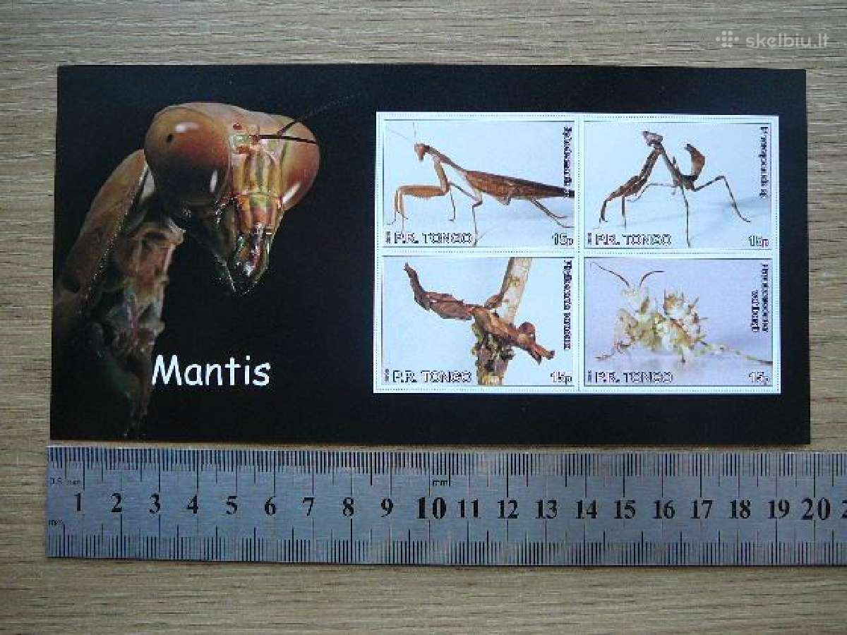 Vabzdziai Maldininkai Tonga 2010 svarus tn993