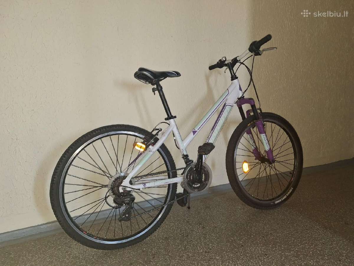 Vaikiškas dviratis